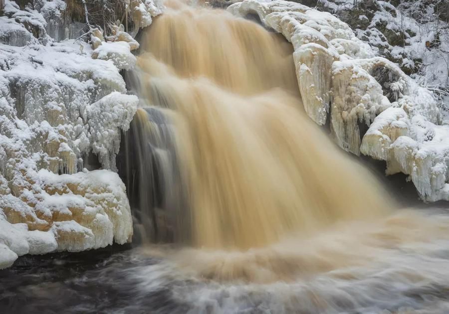 Автобус| Зимняя песнь Карелии: праздник в резиденции Талвиукко из Москвы