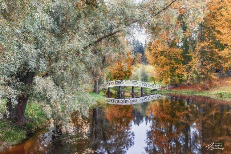 Мастера жизни: искусство внутренней гармонии