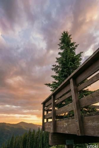 Алтайская осень: очарование Уймонской долины