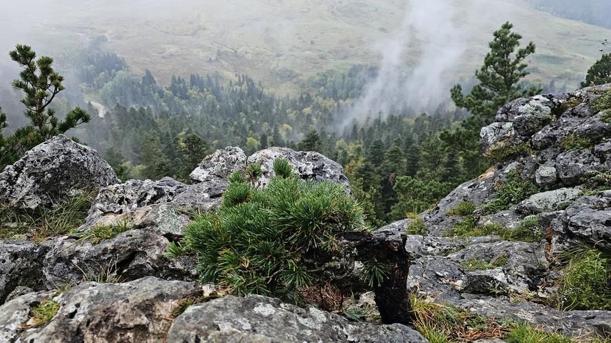 Адыгея 365 дней в году: сезоны не помеха