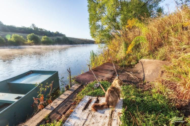 Автобус| Города ремесленного духа