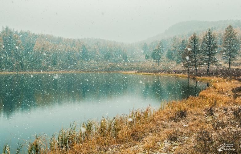 Алтайские сокровища природы