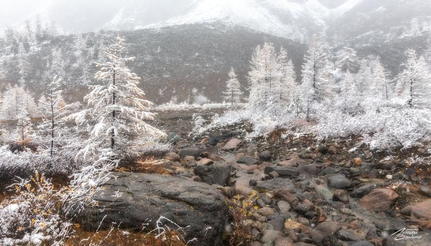 Алтайские сокровища природы