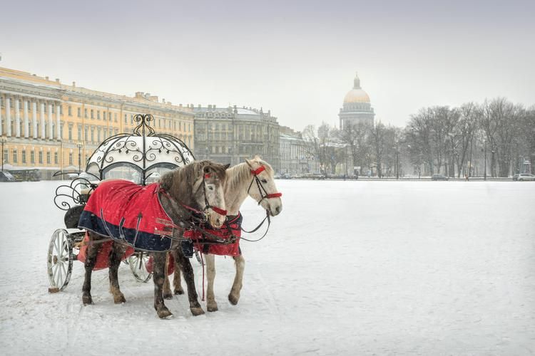 Автобус| Архитектура, балет и белые ночи из Самары