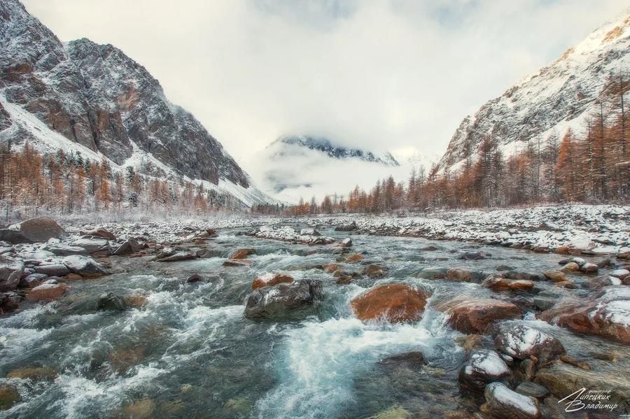Алтайские просторы: от воды до камня