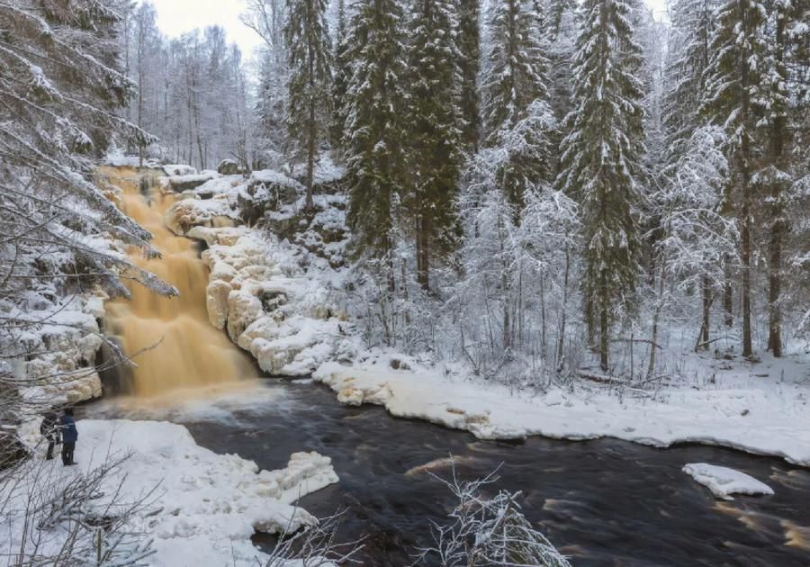Автобус| Свет над мраморным каньоном: новогодняя симфония Рускеалы