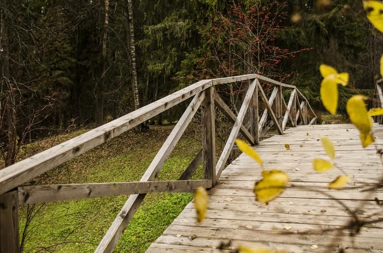 Волга и древний Ярославль: прогулочный тур