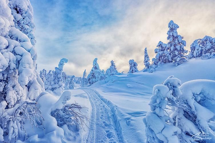 Новогодние каникулы в Лермонтовских местах (промо)