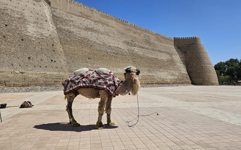 От Ташкента до Хивы