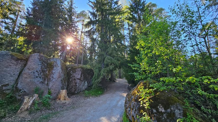 Автобус| Дорога жизни: память сквозь годы