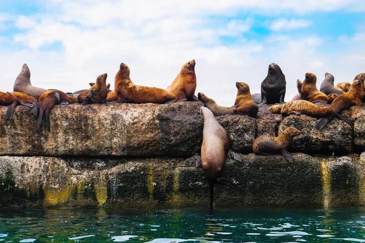 Сахалин: где океан встречает вулканы