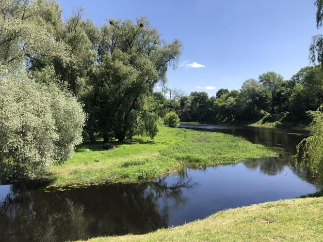 На цветение Лаванды в Белорусский Прованс (промо)