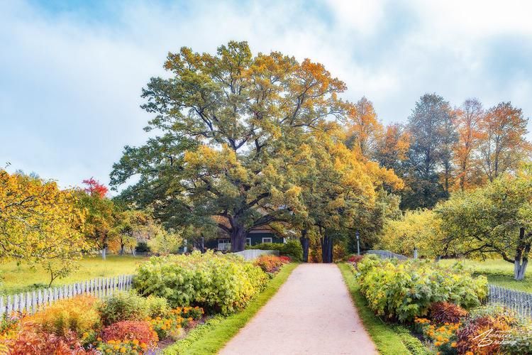 О Новосибирске с любовью