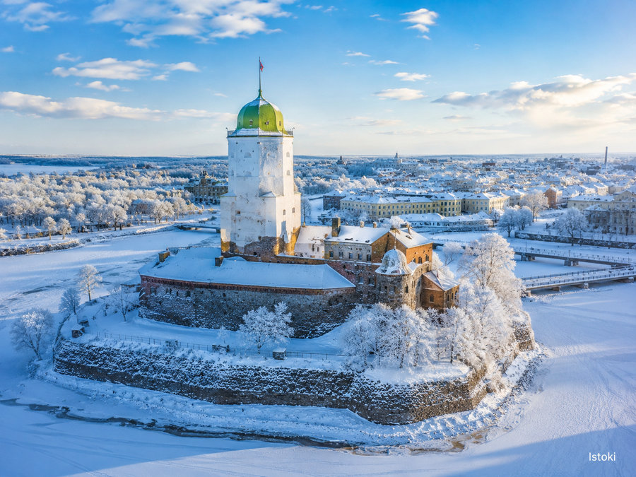 Огни зимнего Петербурга 4 дня